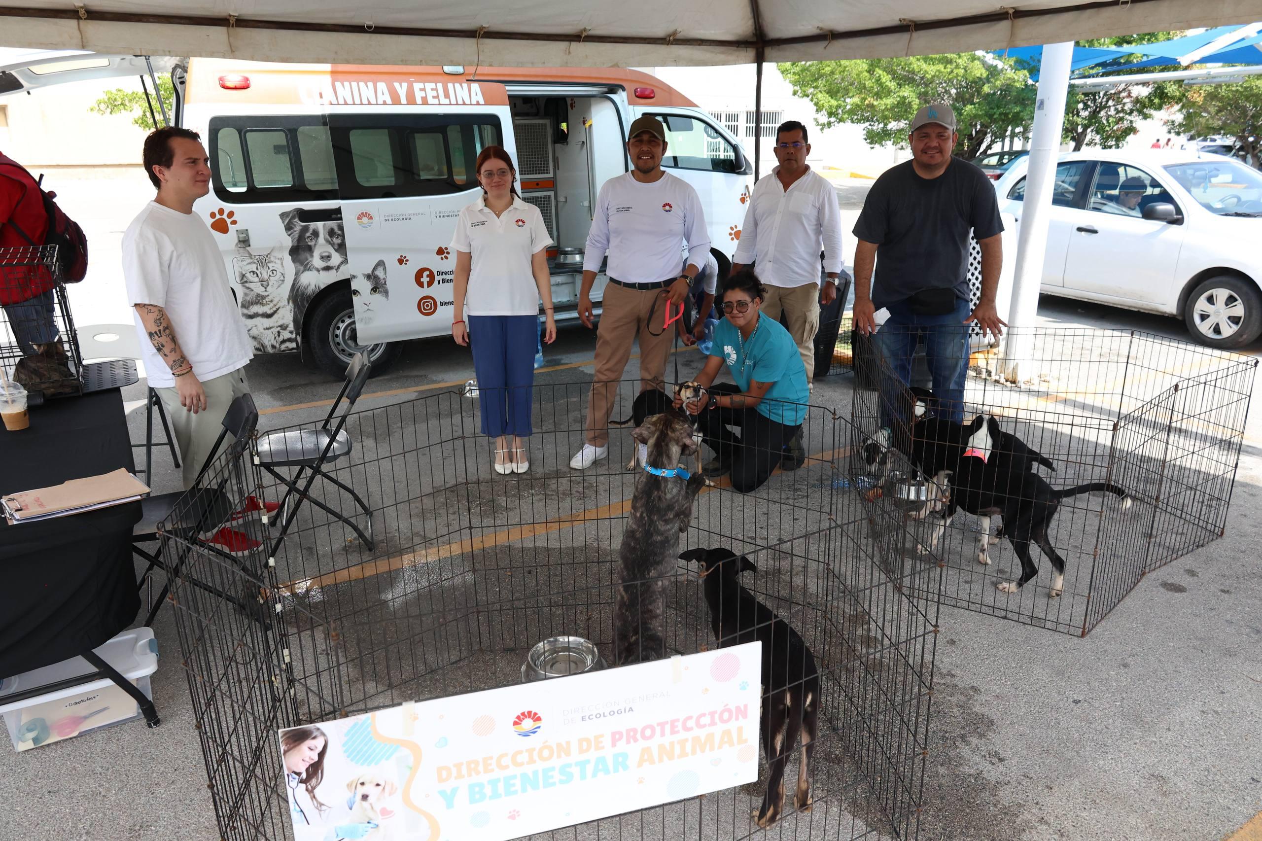 uploads/6/32/01 (437).Jpg